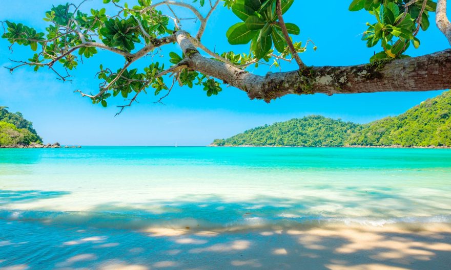 California Trust: Safeguarding Your Estate